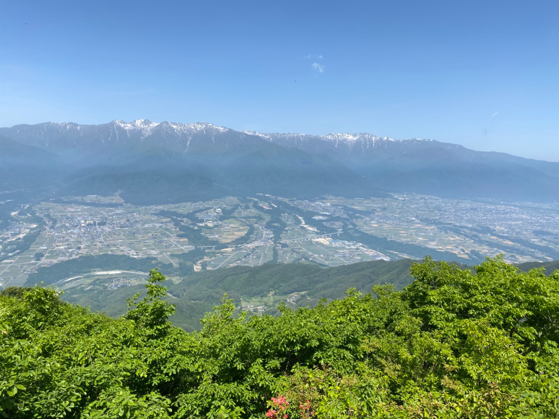 北澤高校🏫✨御朱印部(顧問)さんのプロフィール画像