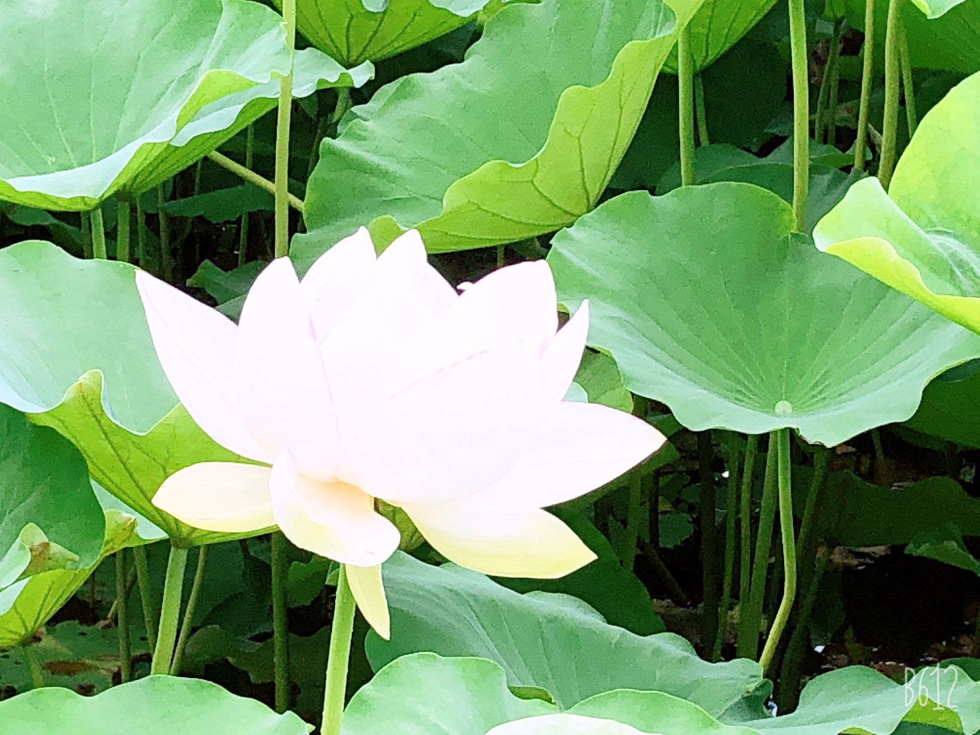 みーたんさんのプロフィール画像