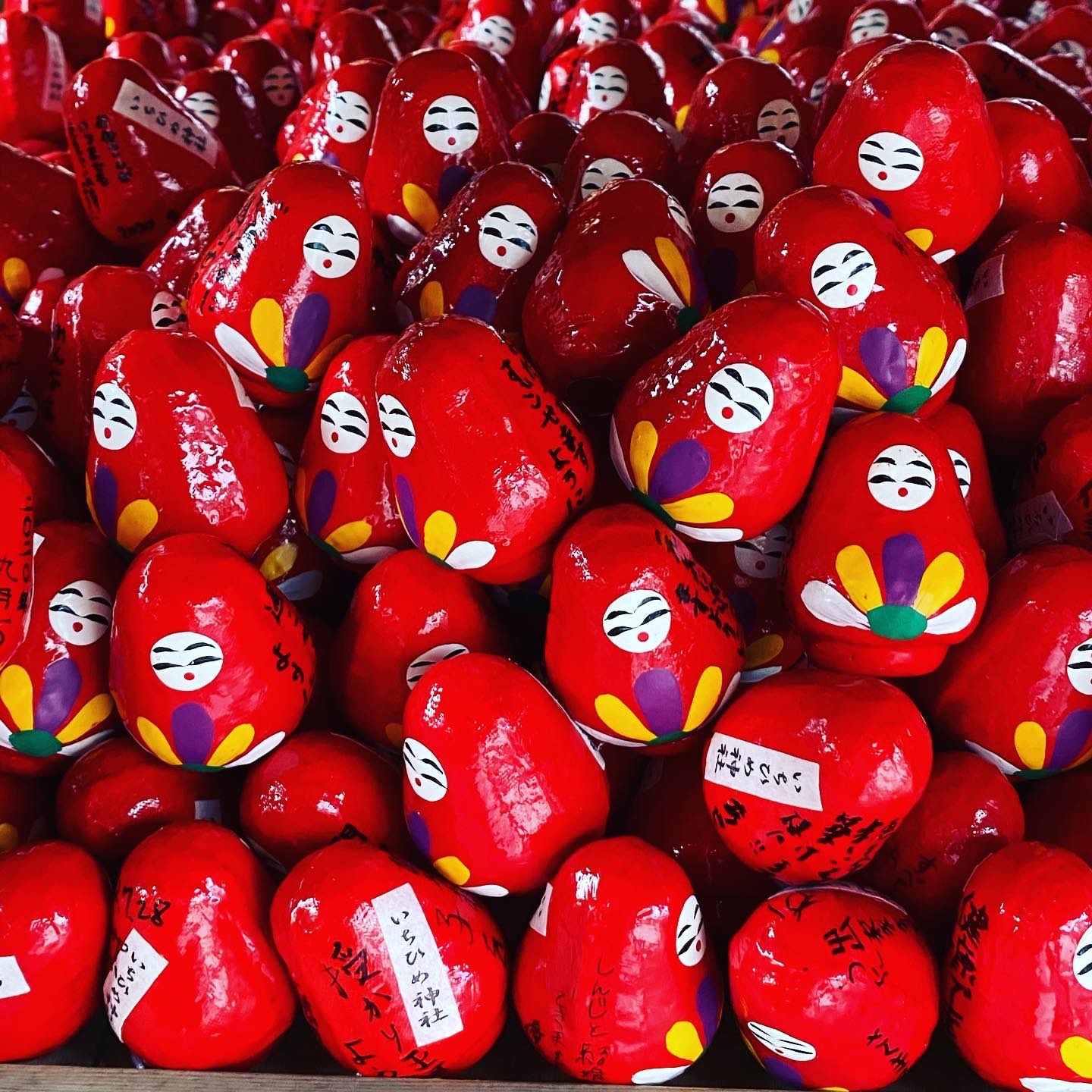 うさみみさんのプロフィール画像