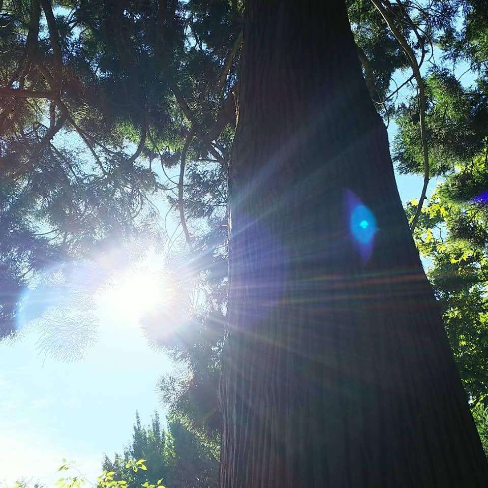 旅子さんのプロフィール画像