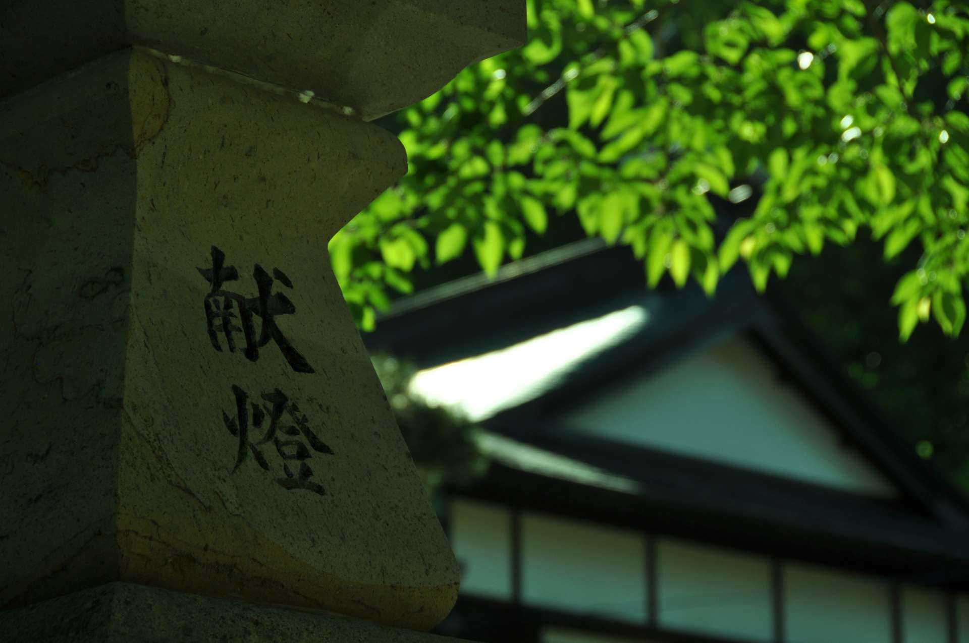 東沢 空さんのプロフィール画像