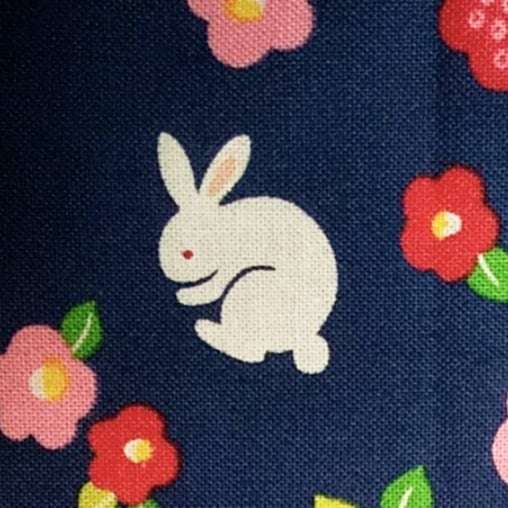 もりこさんのプロフィール画像