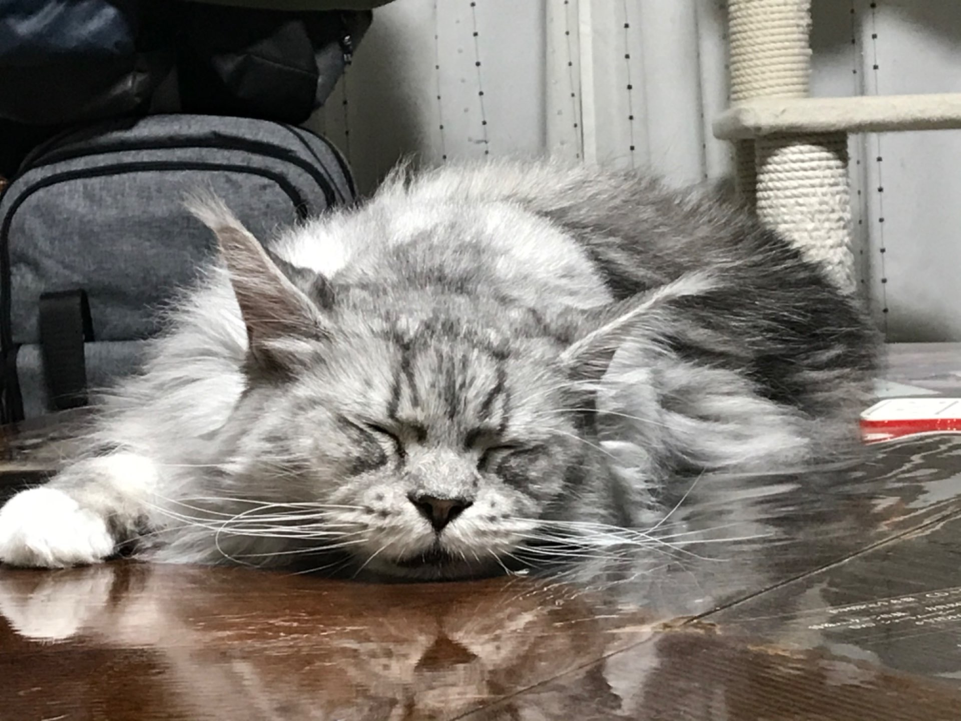 らいちゅん  さんのプロフィール画像