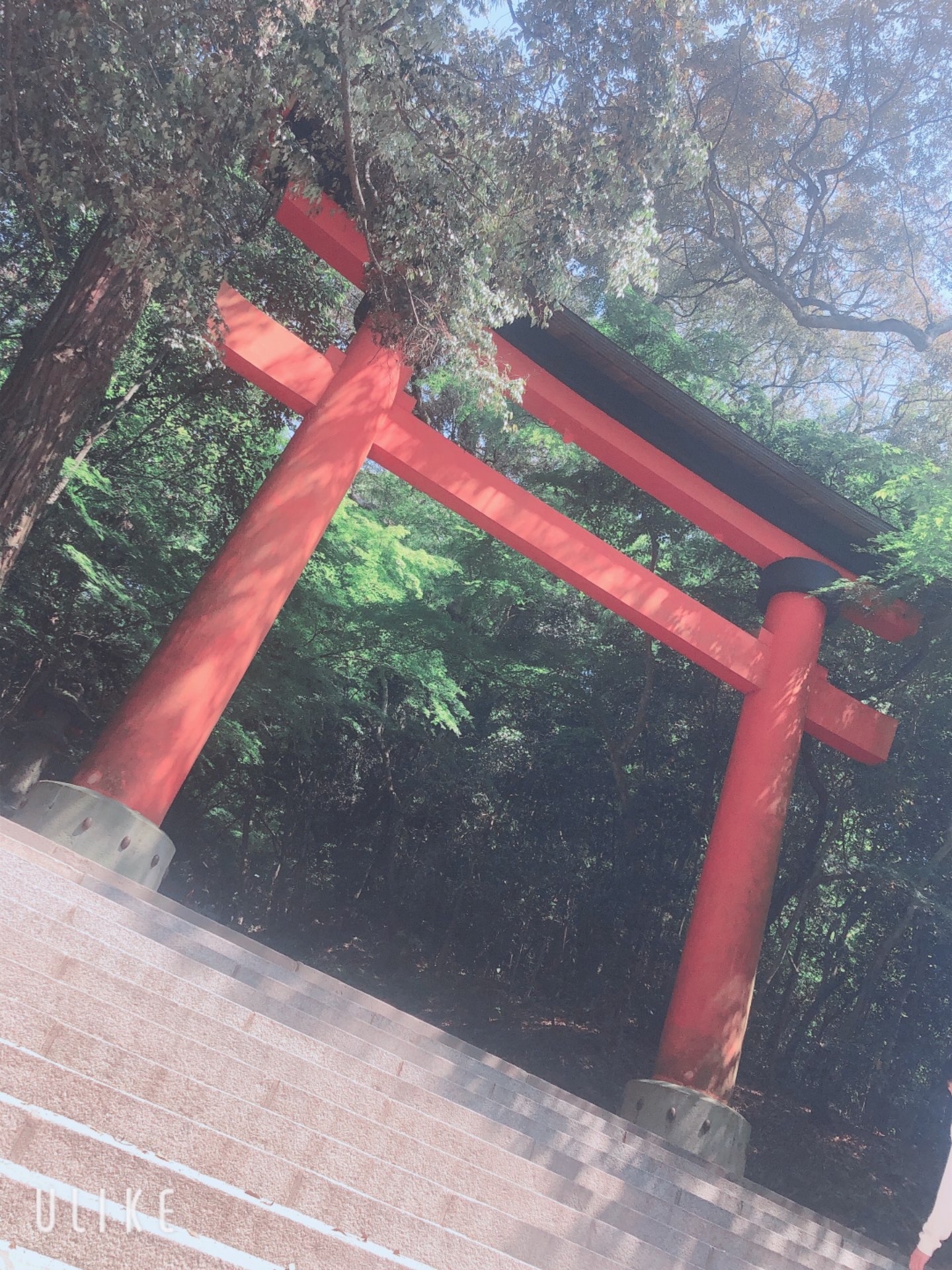 ✿amu✿さんのプロフィール画像