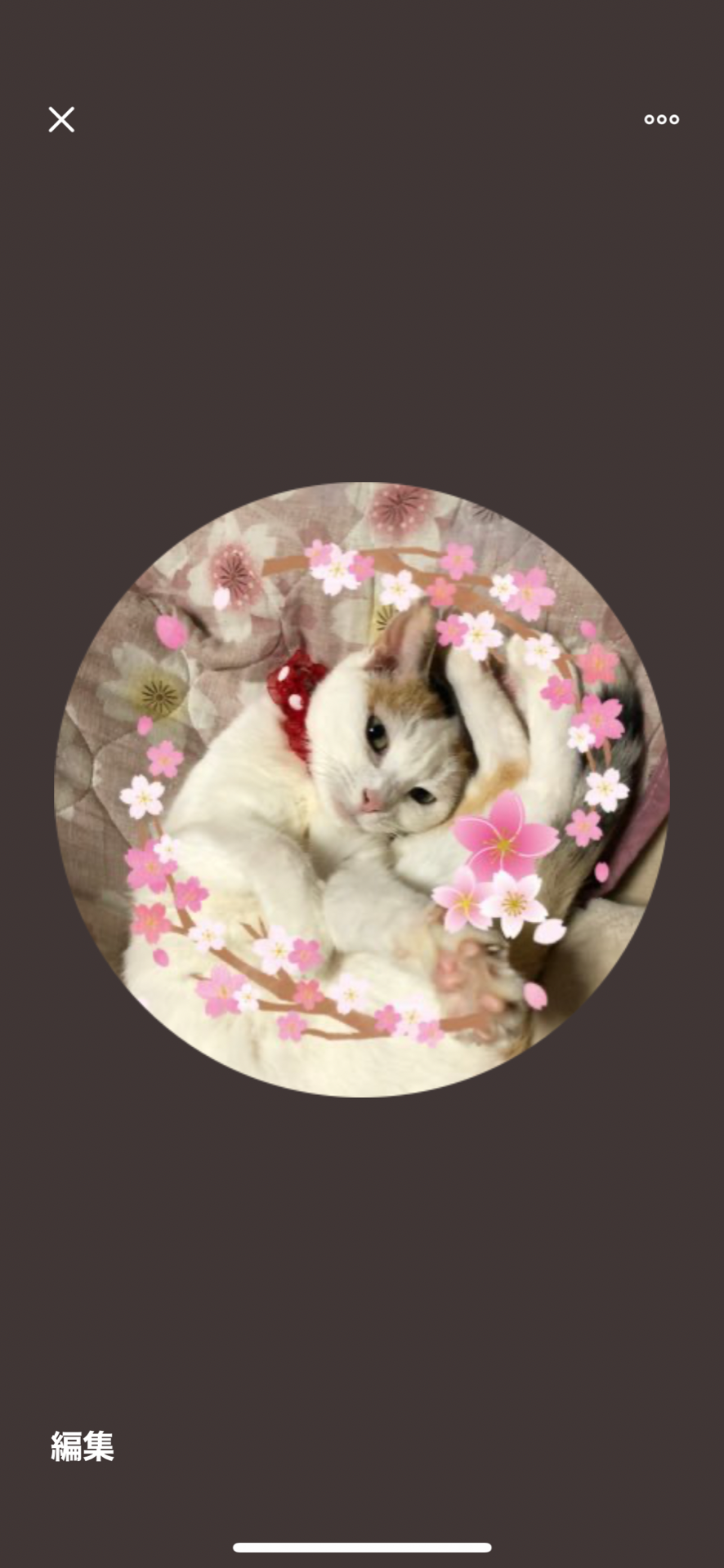 小梅のママさんのプロフィール画像