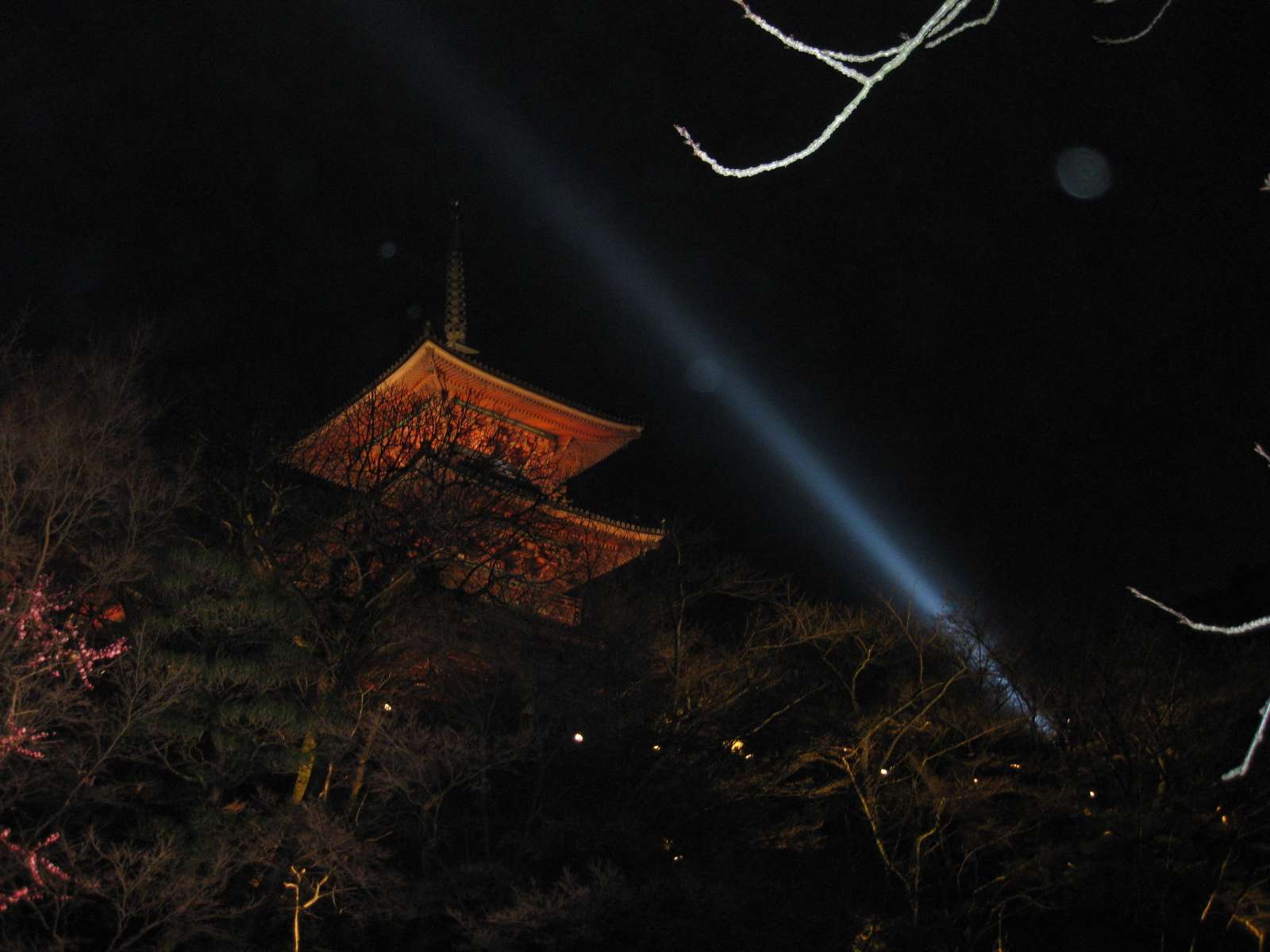 Rinさんのプロフィール画像