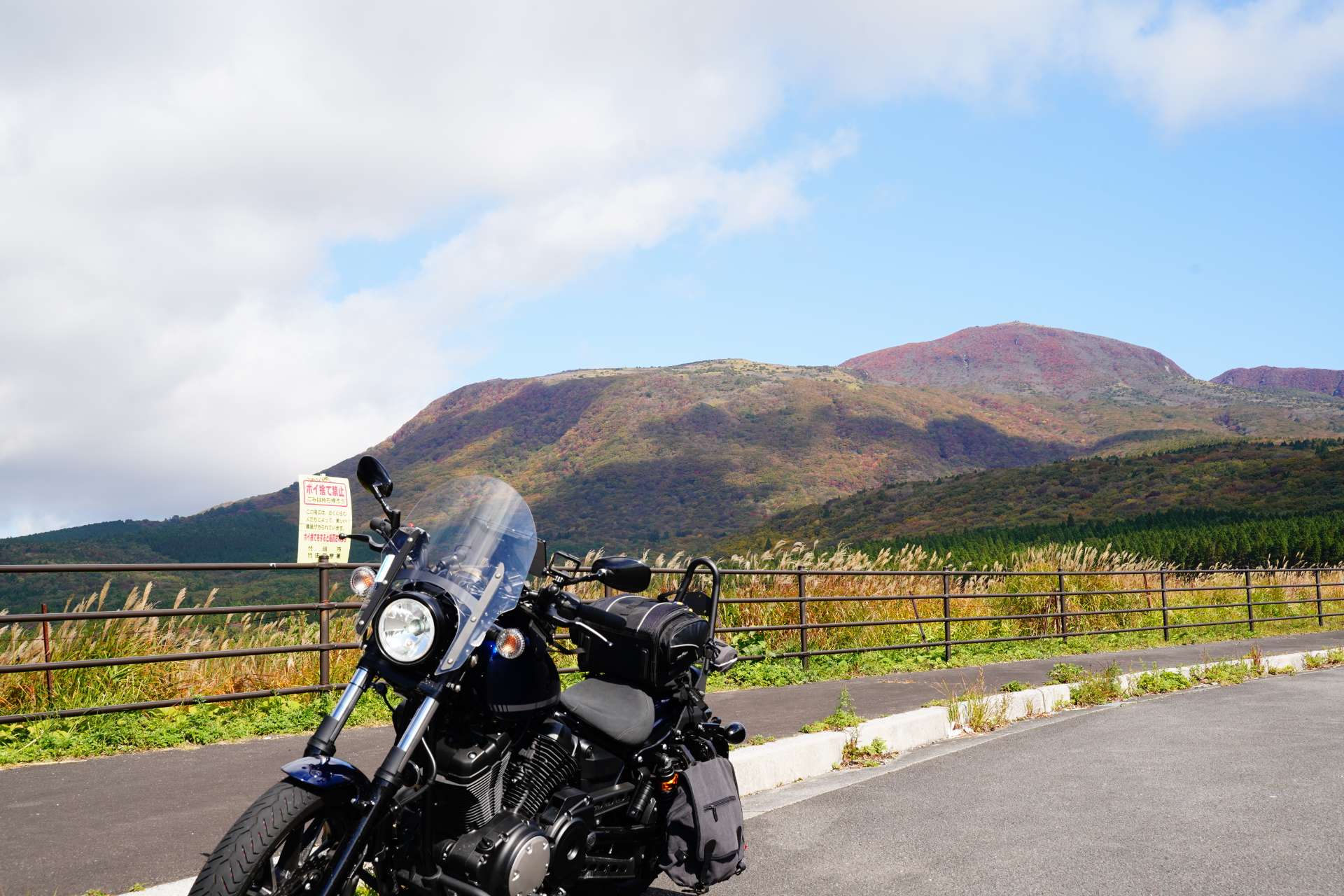 よっしーさんのプロフィール画像