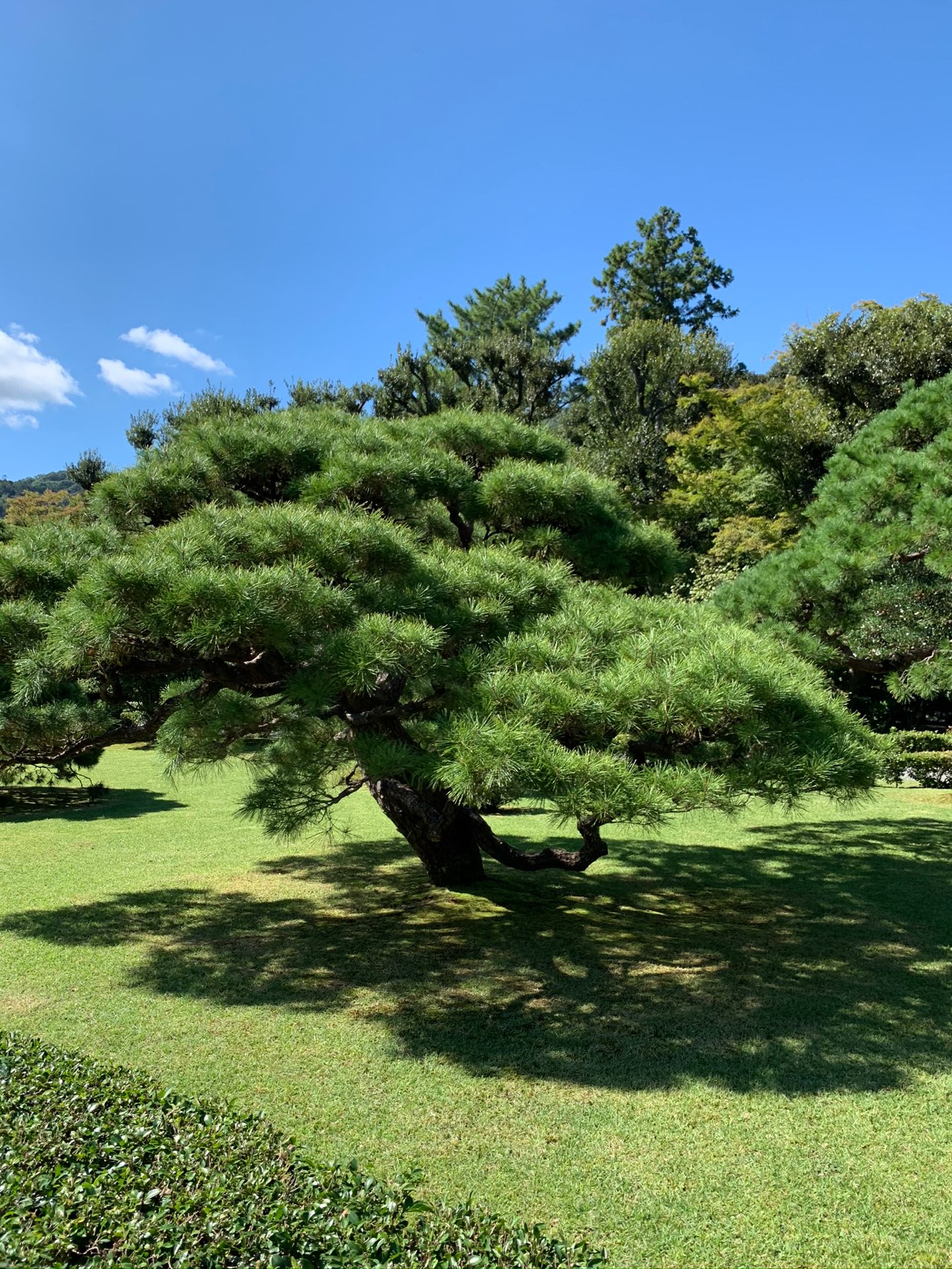 御朱印太郎さんのプロフィール画像