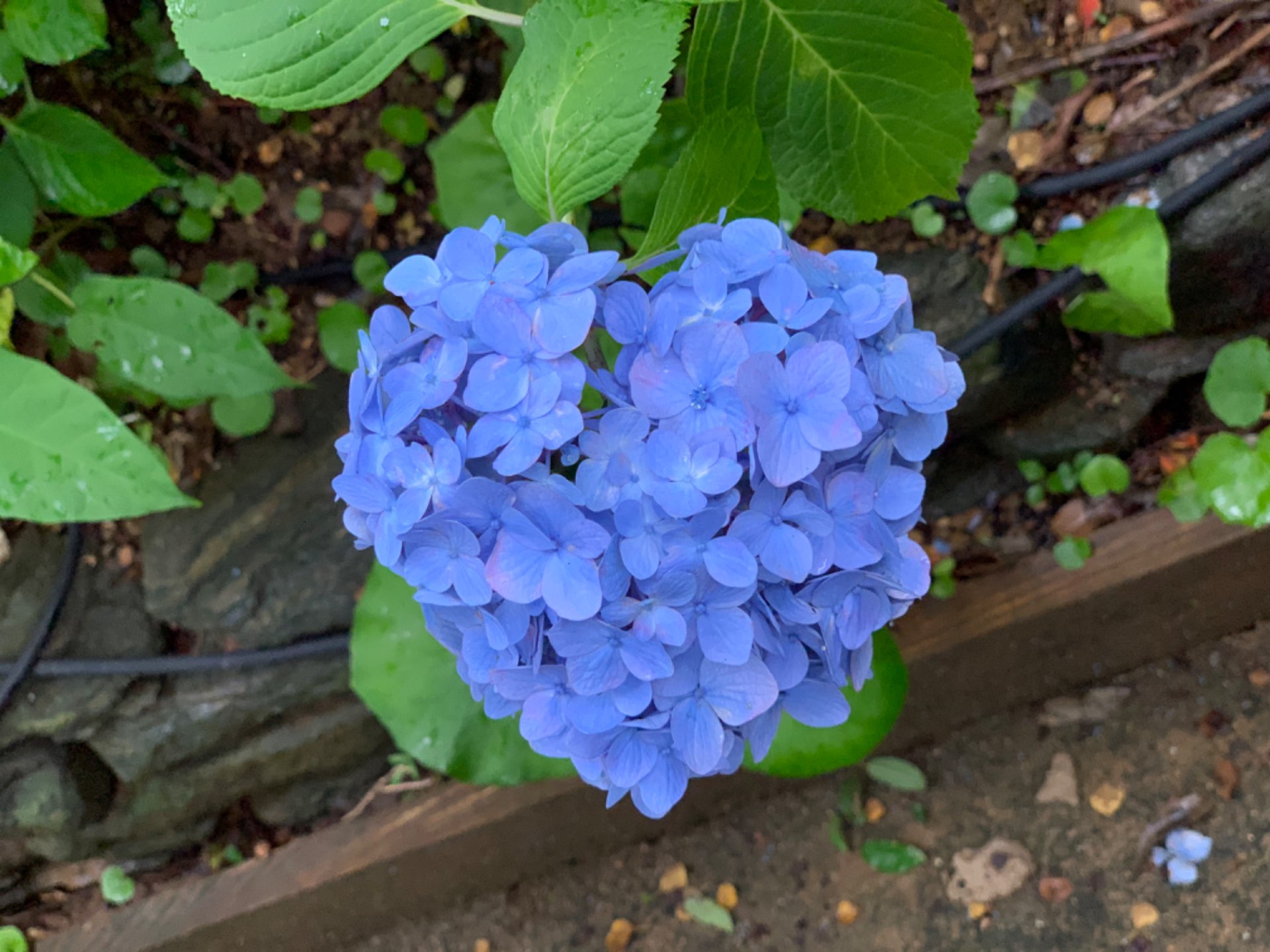 カナさんのプロフィール画像