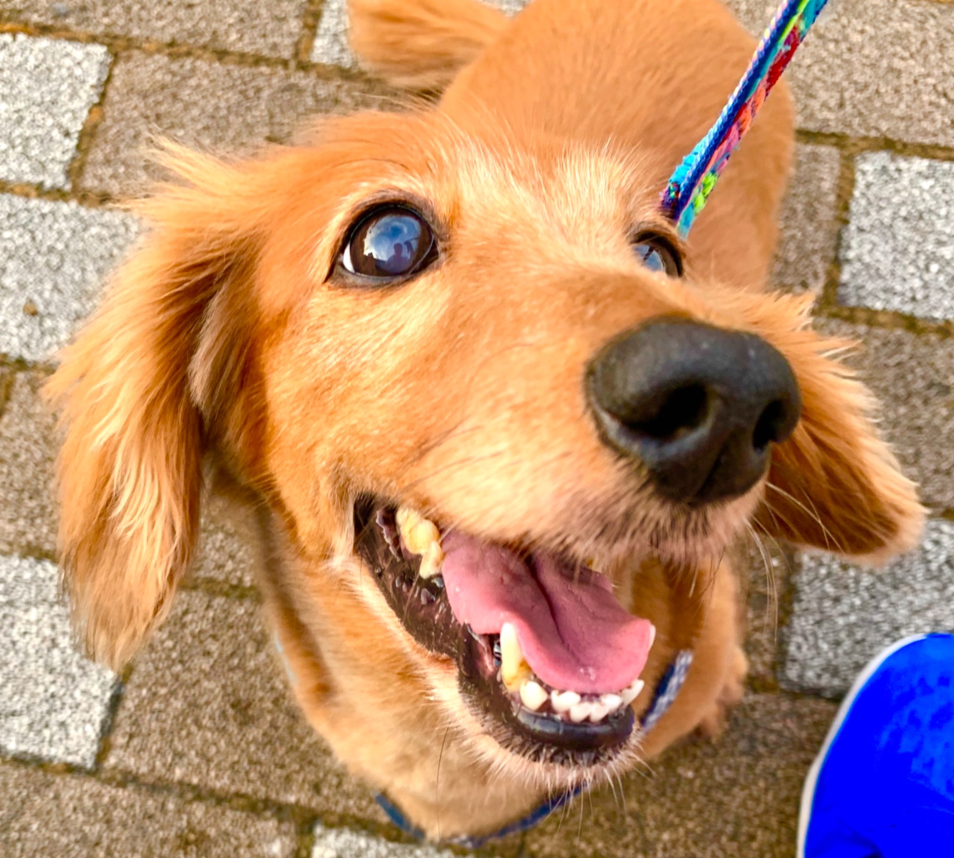 JUNさんのプロフィール画像