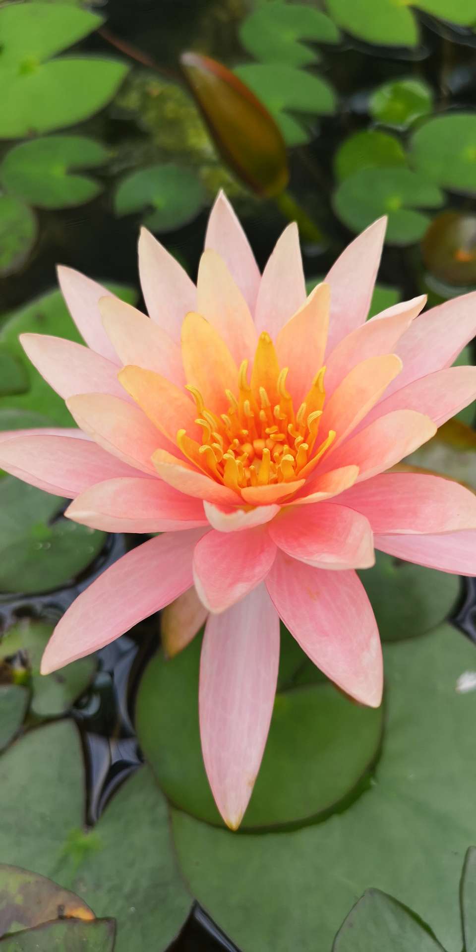 寺庭さんのプロフィール画像