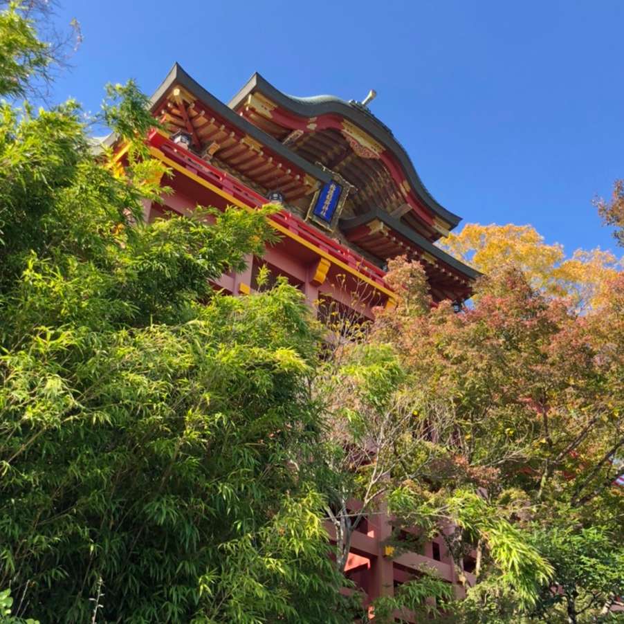 ぱちさんのプロフィール画像