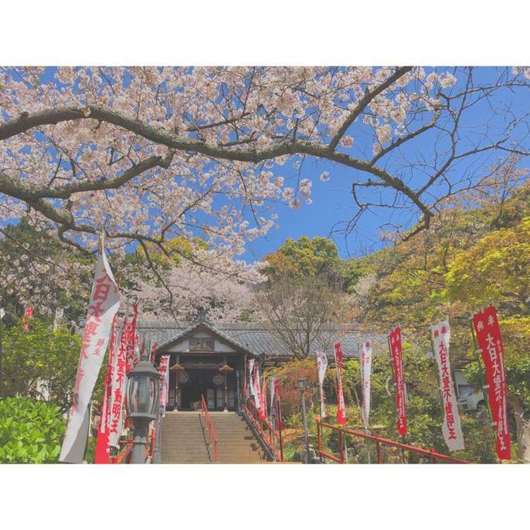 五井山 妙善院　副住職さんのプロフィール画像