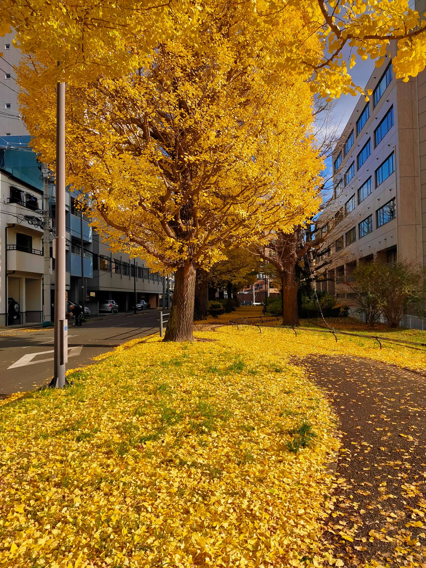 長朶邑偉陁さんのプロフィール画像
