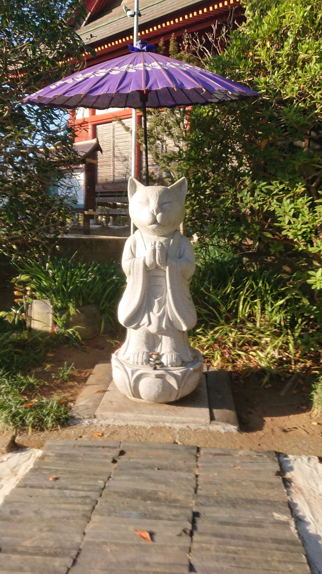 パンダさんのプロフィール画像