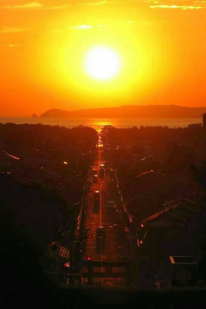 ムクさんのプロフィール画像