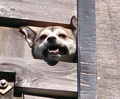 ハジさんのプロフィール画像