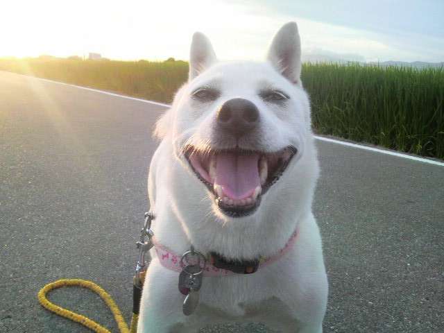 るなっちさんのプロフィール画像