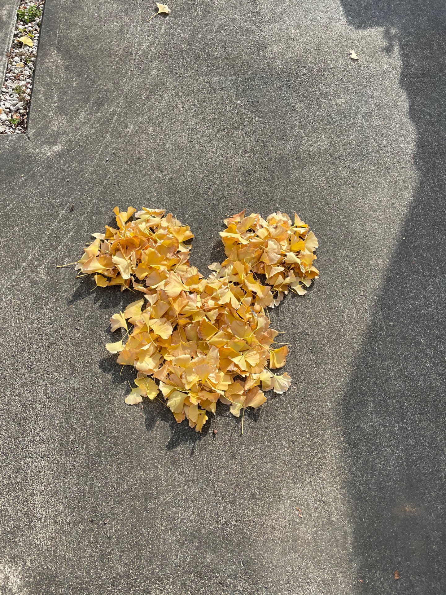 iyonaさんのプロフィール画像