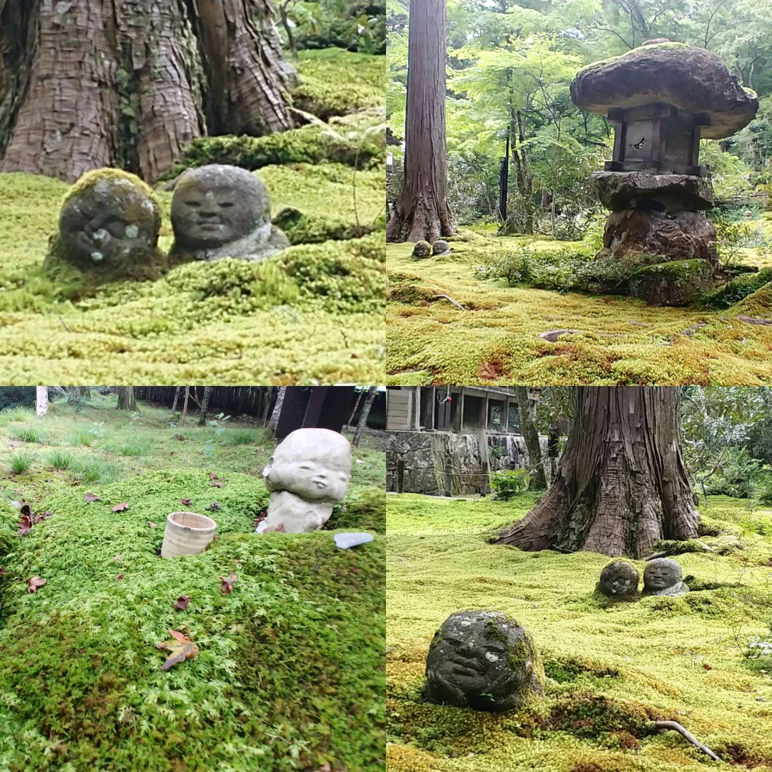 幸さんのプロフィール画像