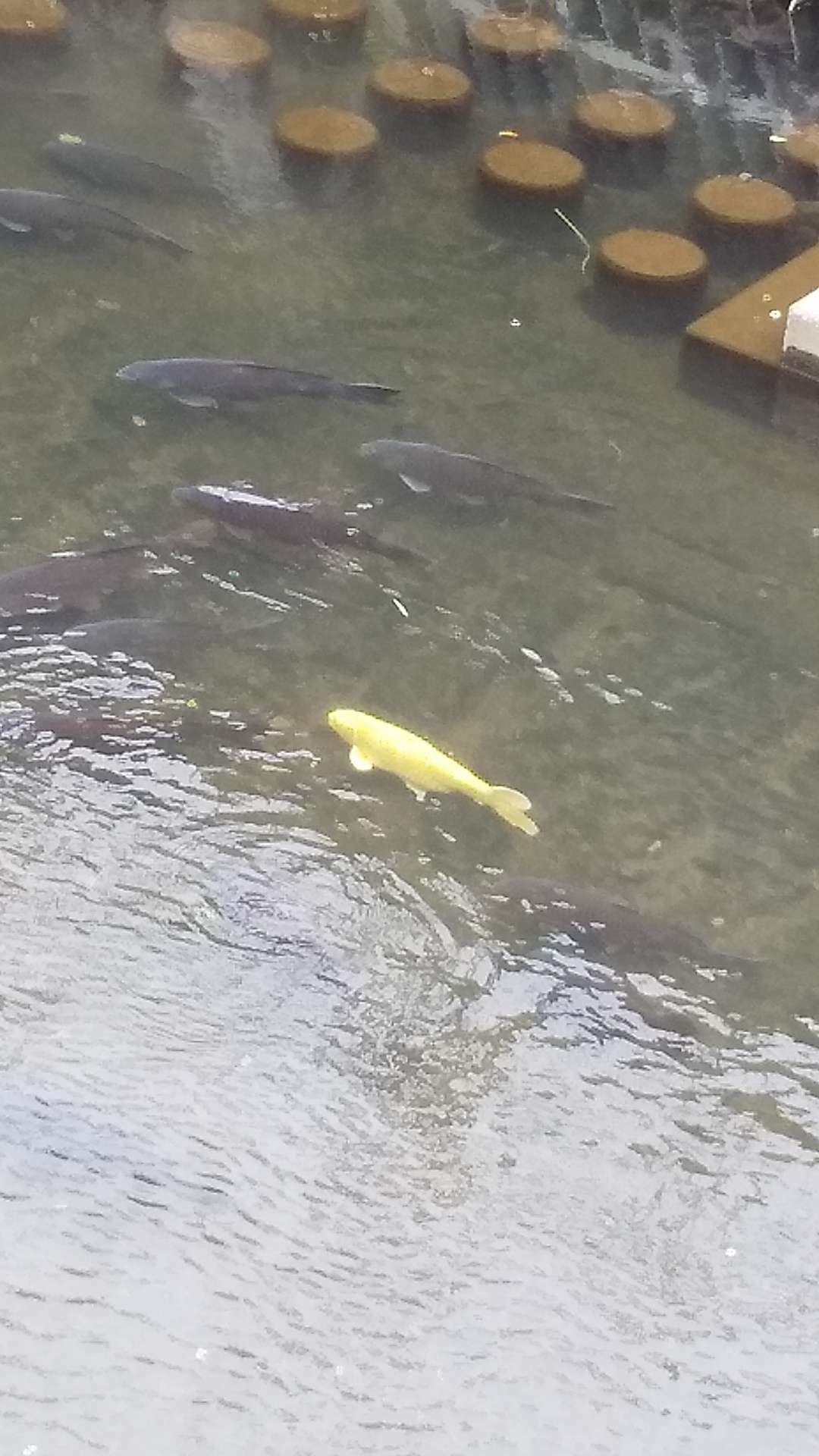 あきをももさんのプロフィール画像