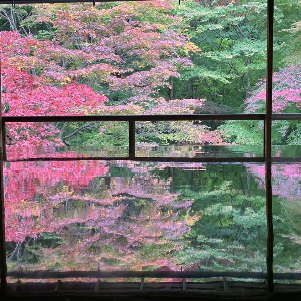 きみ たんさんのプロフィール画像