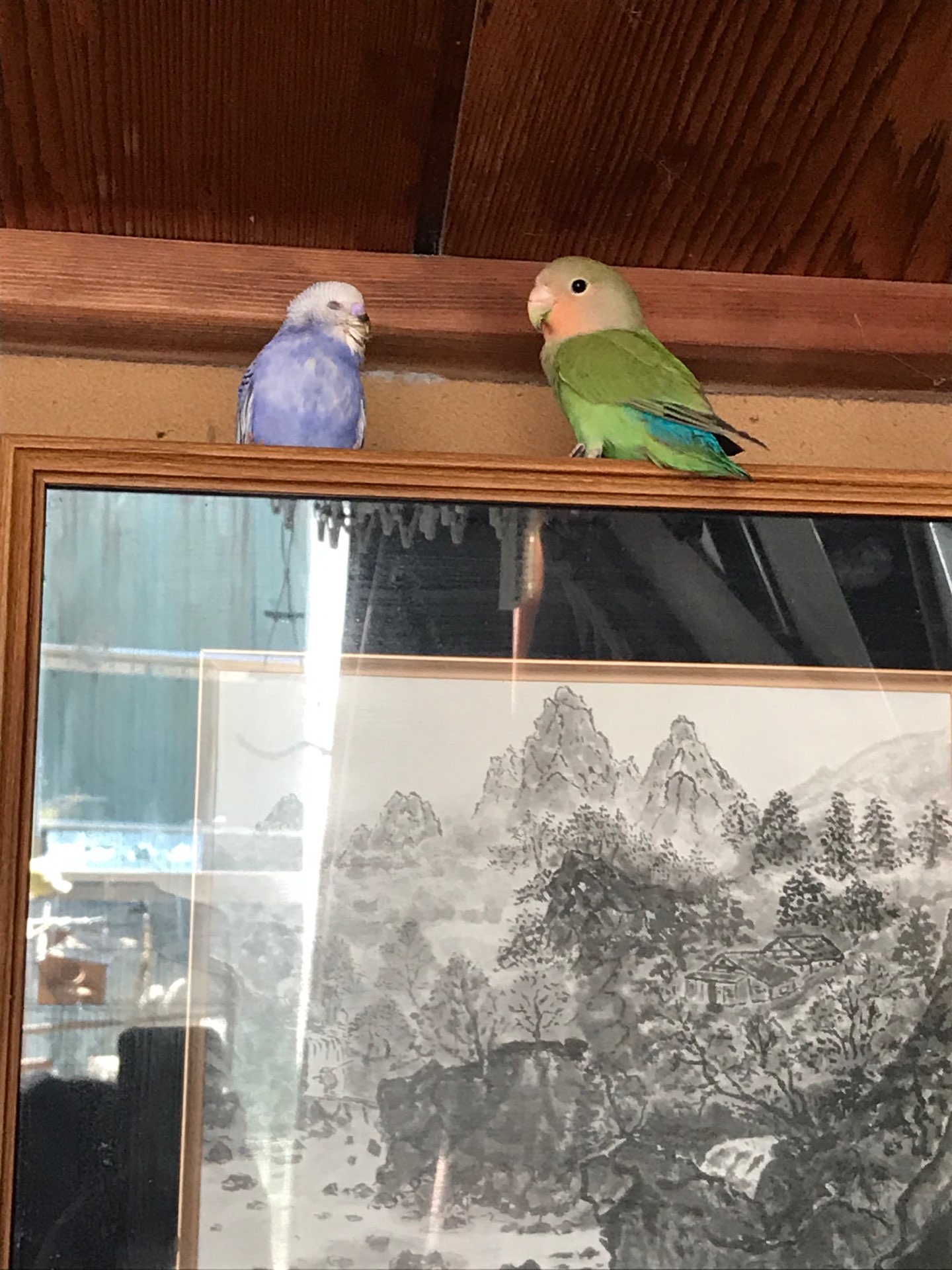 にこまるさんのプロフィール画像