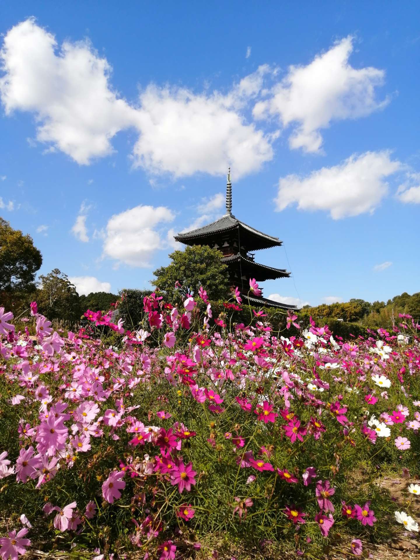 nomutenさんのプロフィール画像