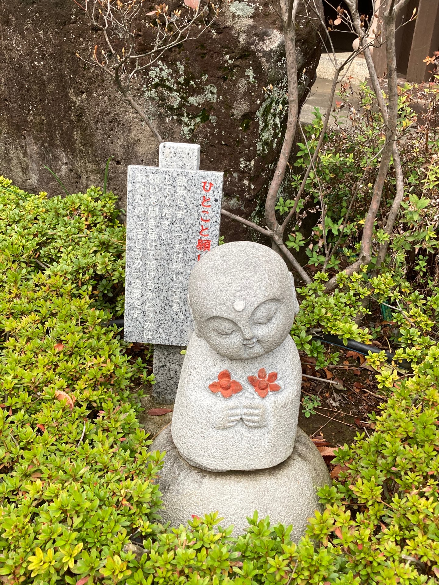 きういさんのプロフィール画像