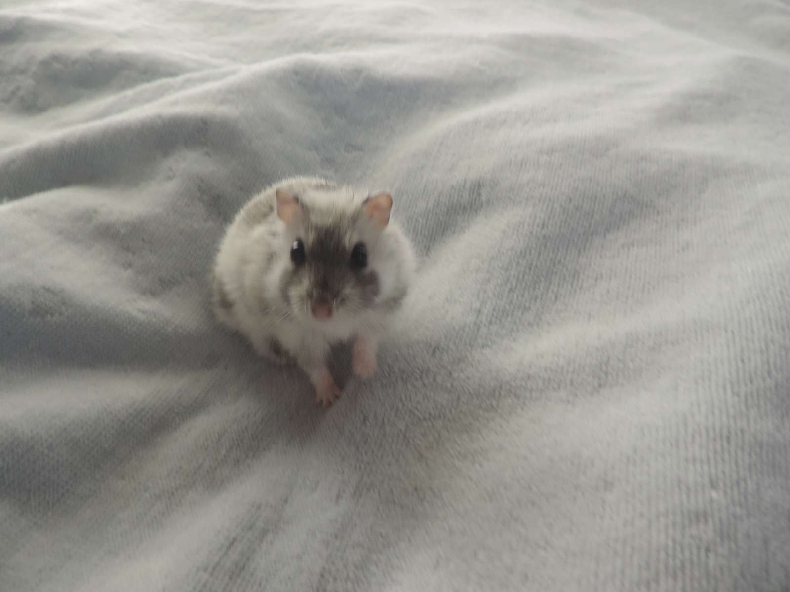 しーさんのプロフィール画像