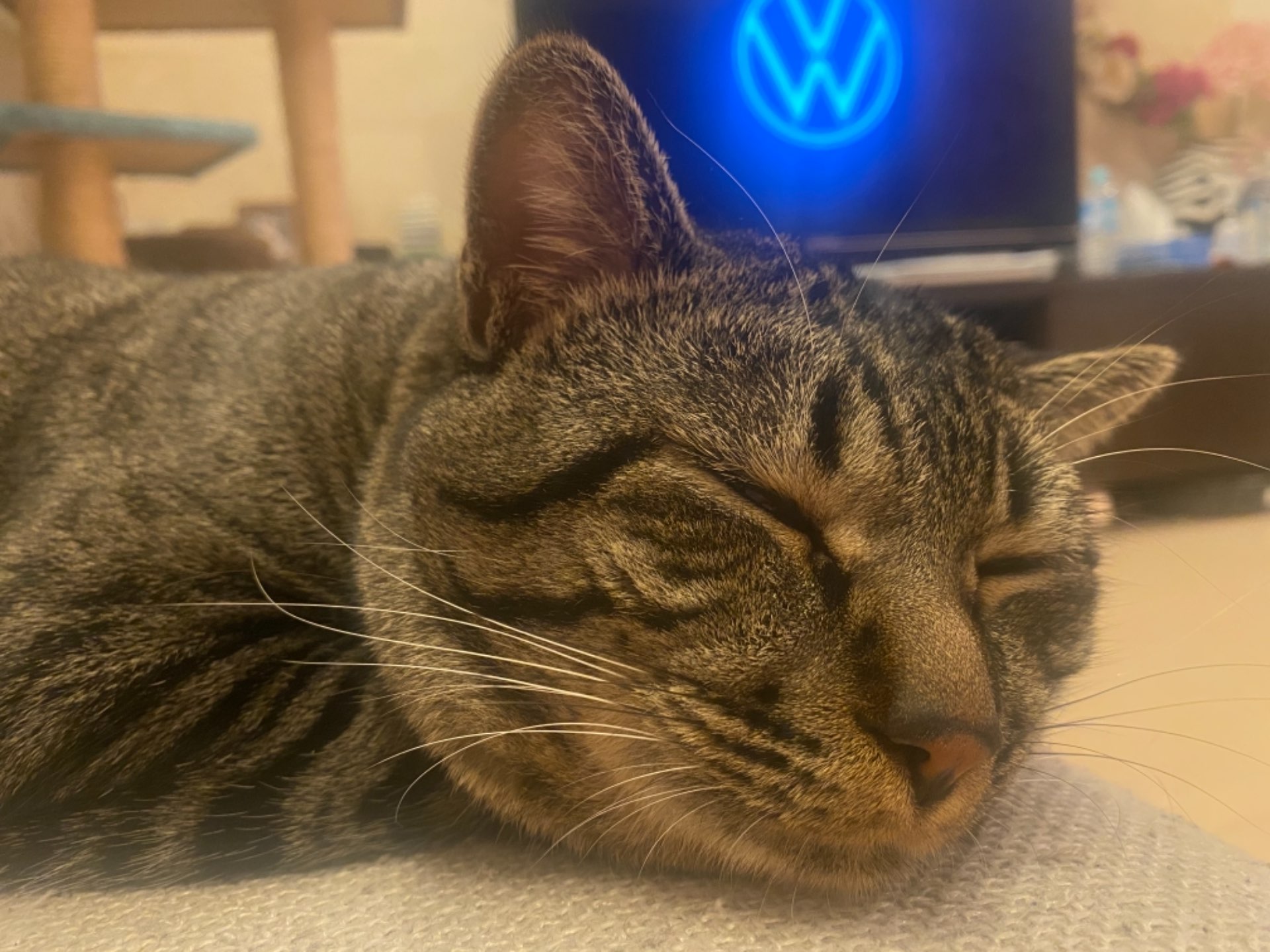 モンブランさんのプロフィール画像