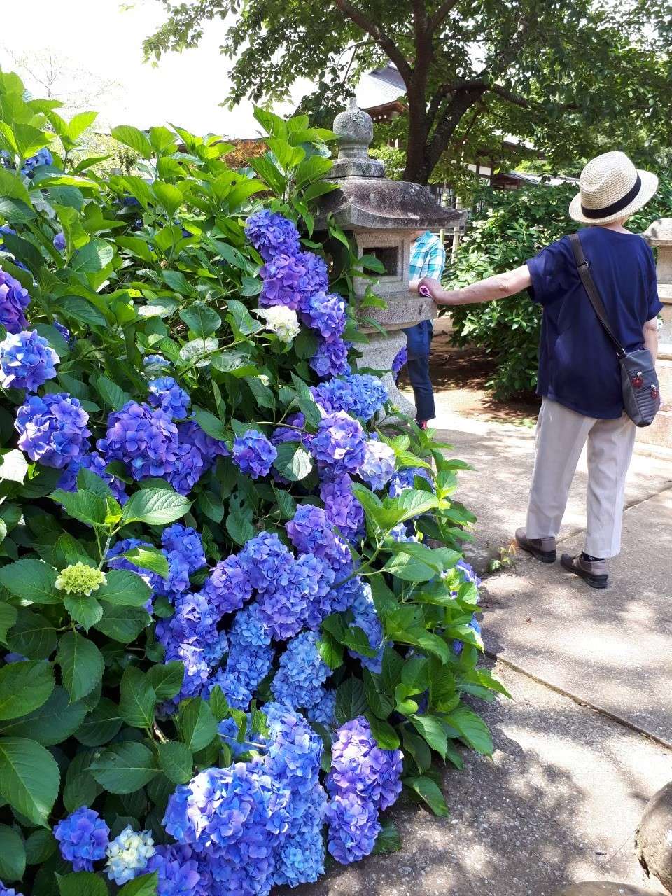 きよさんのプロフィール画像