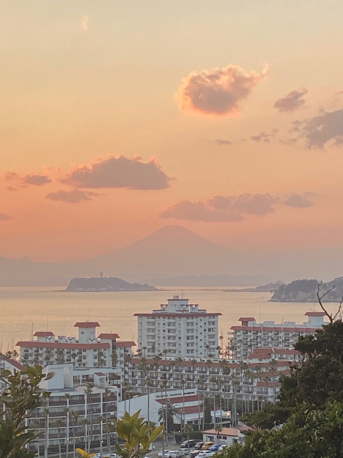 鹿palさんのプロフィール画像