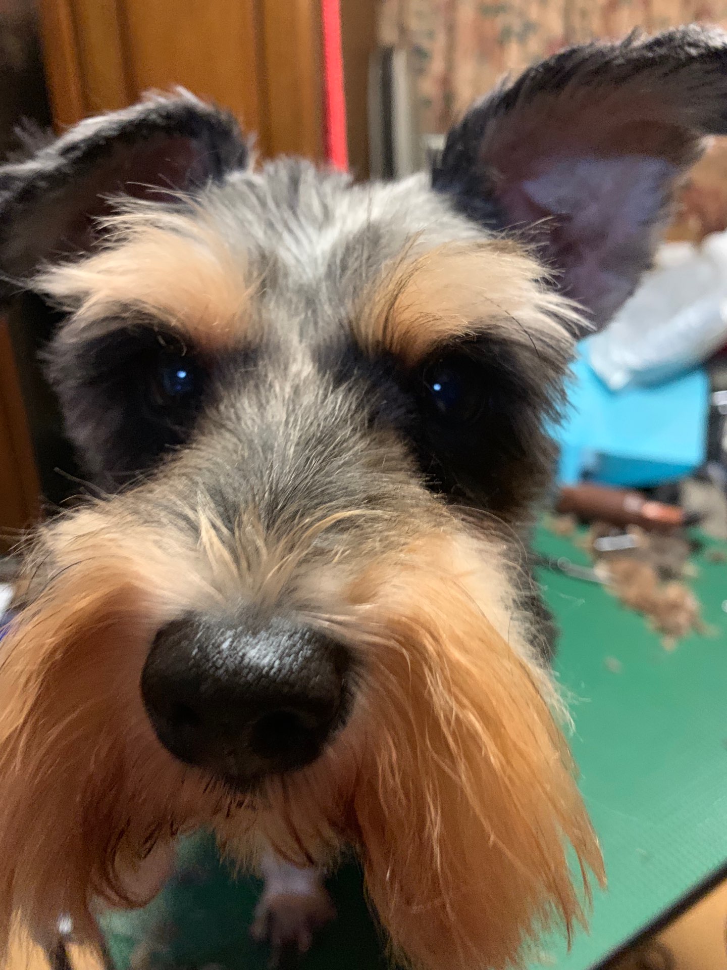 ホヌさんのプロフィール画像