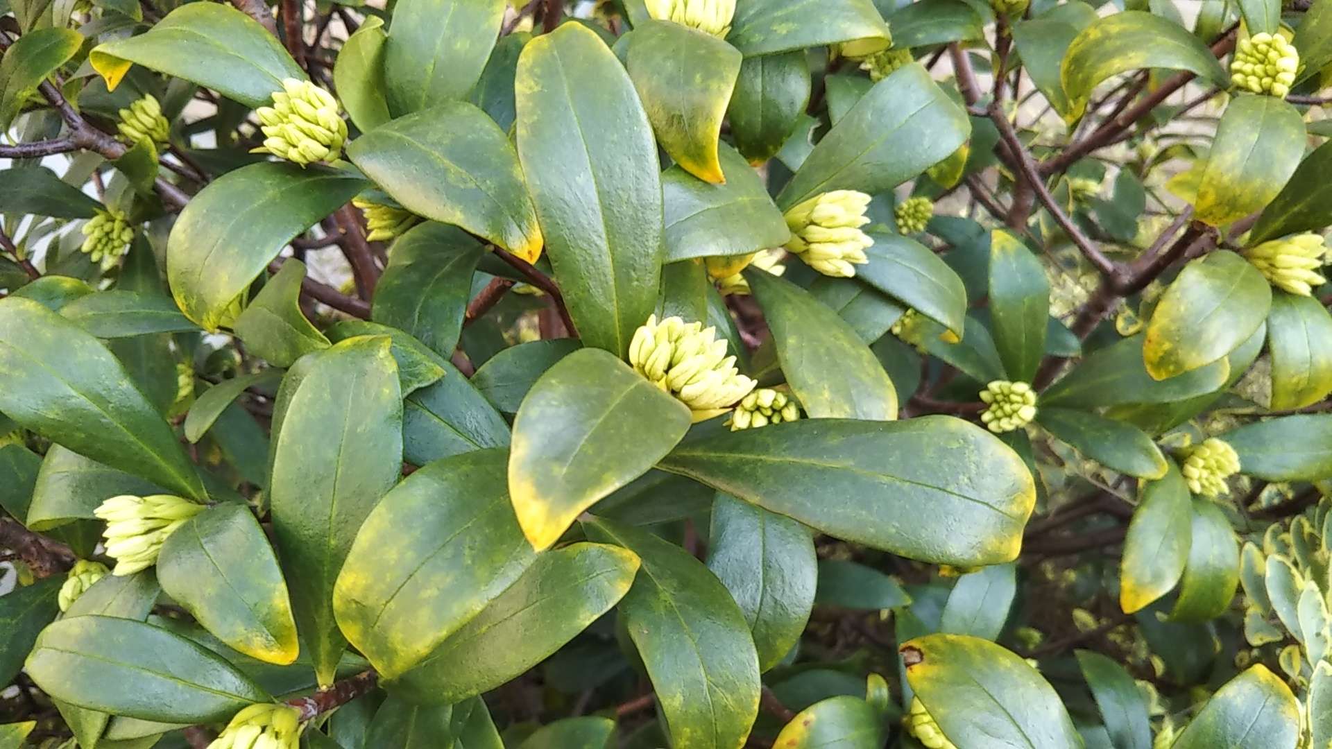 紫千浬ゆみやさんのプロフィール画像