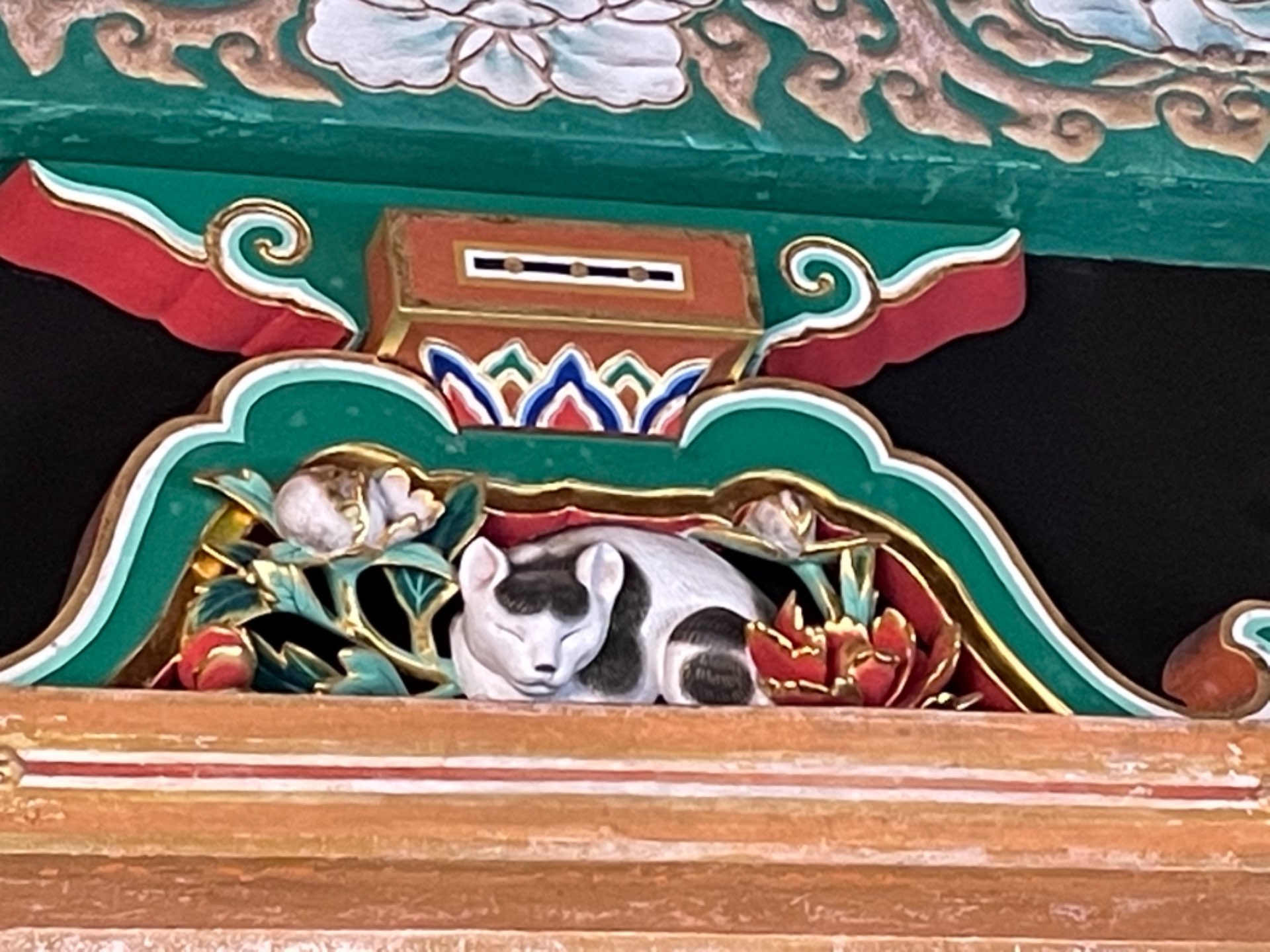 真珠姫さんのプロフィール画像