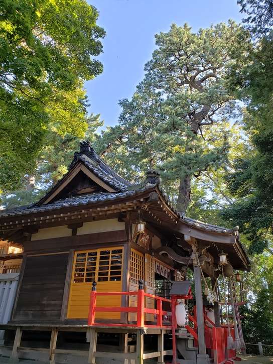開運招福　飯玉神社さんのプロフィール画像