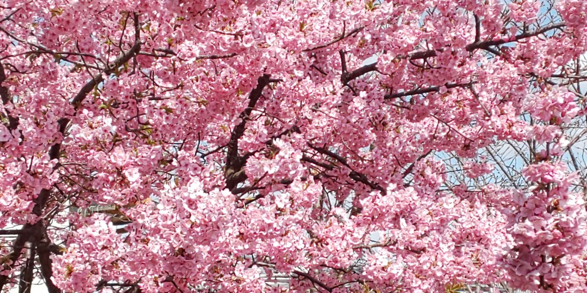 きままなママさんのプロフィール画像