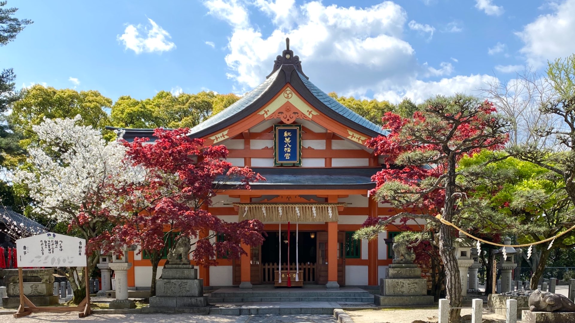 紅葉八幡宮さんのプロフィール画像
