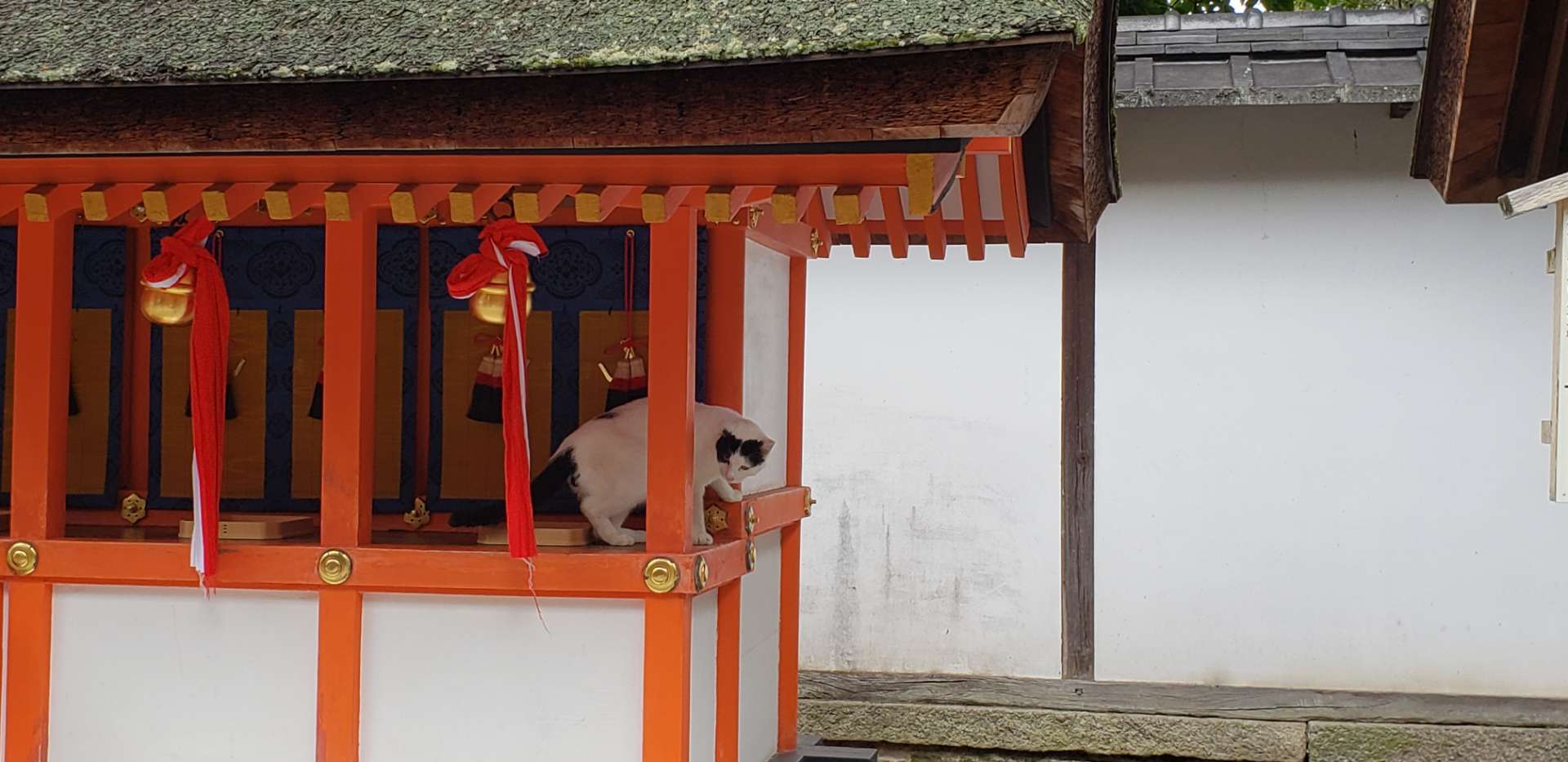 青空さんのプロフィール画像