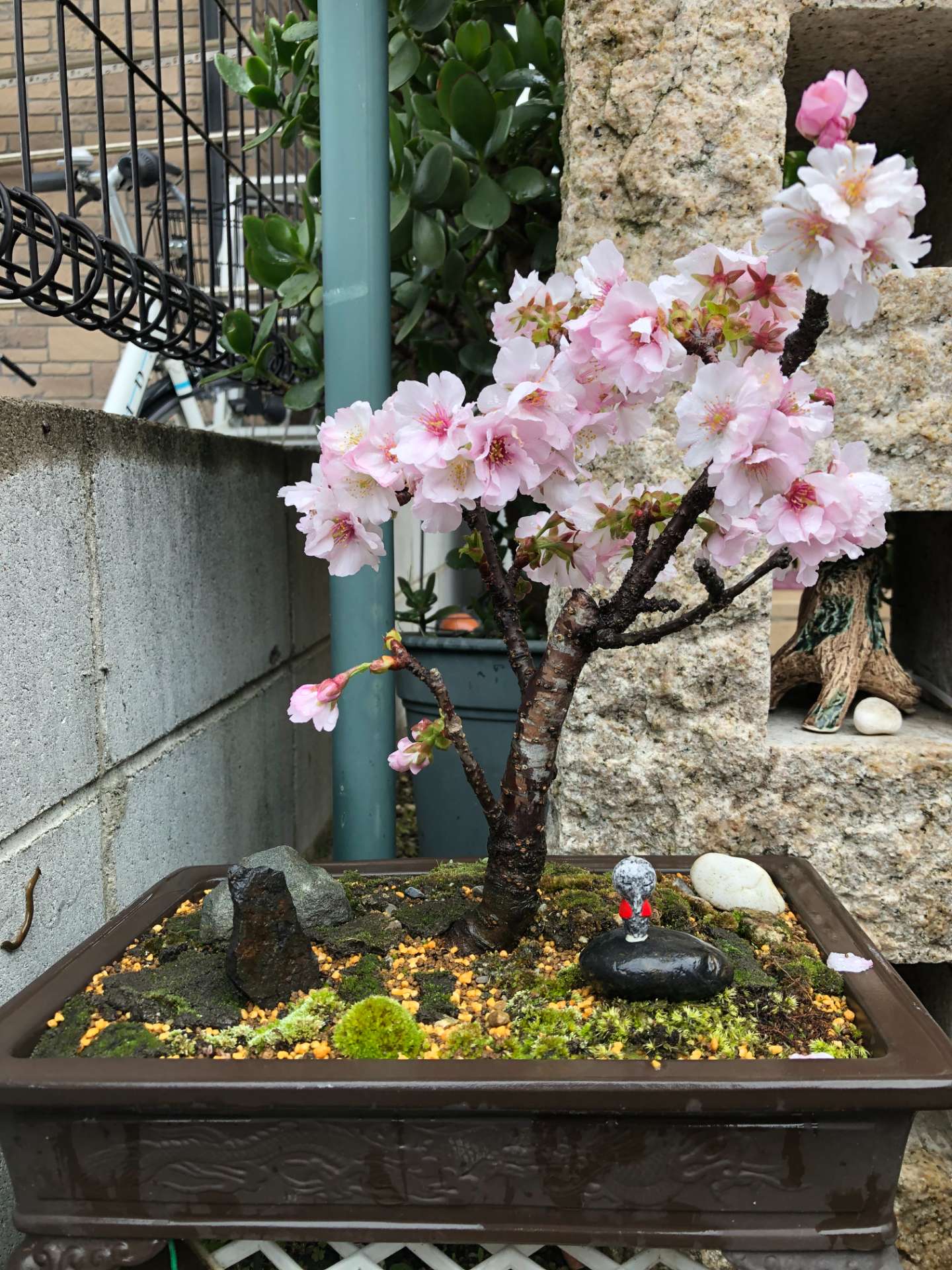 べんたさんのプロフィール画像