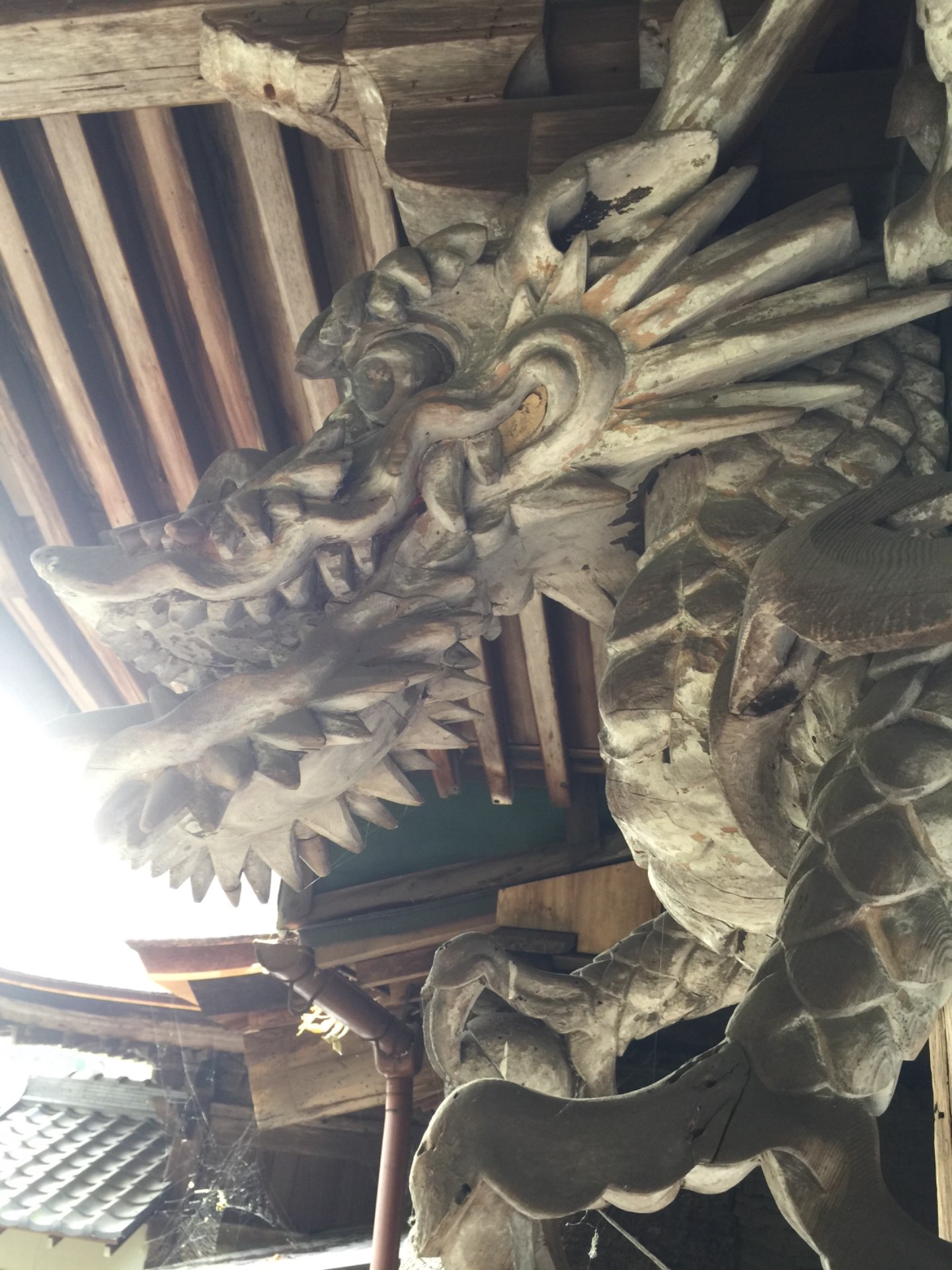 手力雄神社さんのプロフィール画像