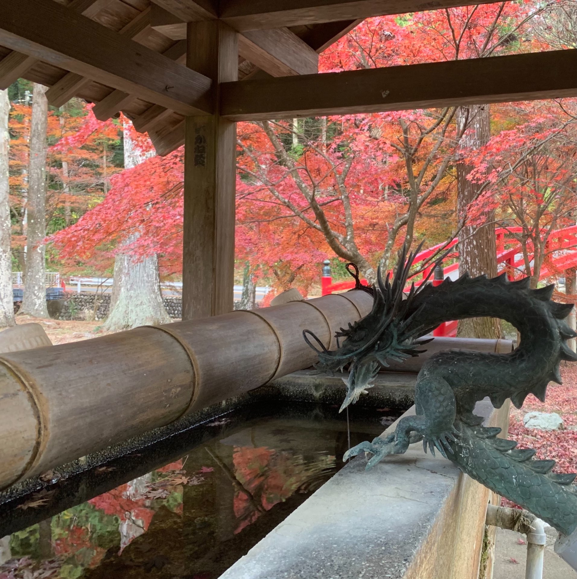 カッパのかっぱさんのプロフィール画像