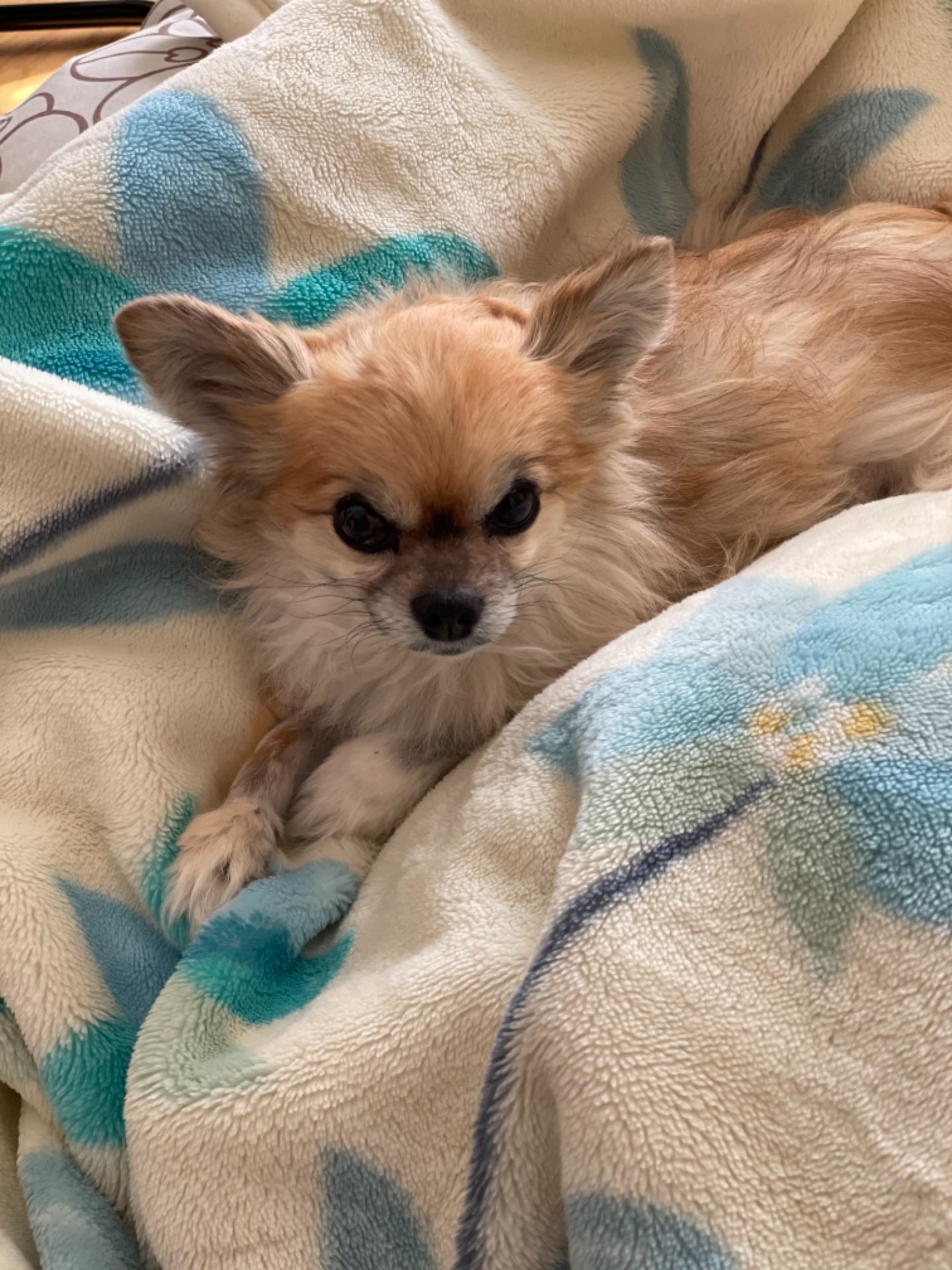 Isyutoさんのプロフィール画像