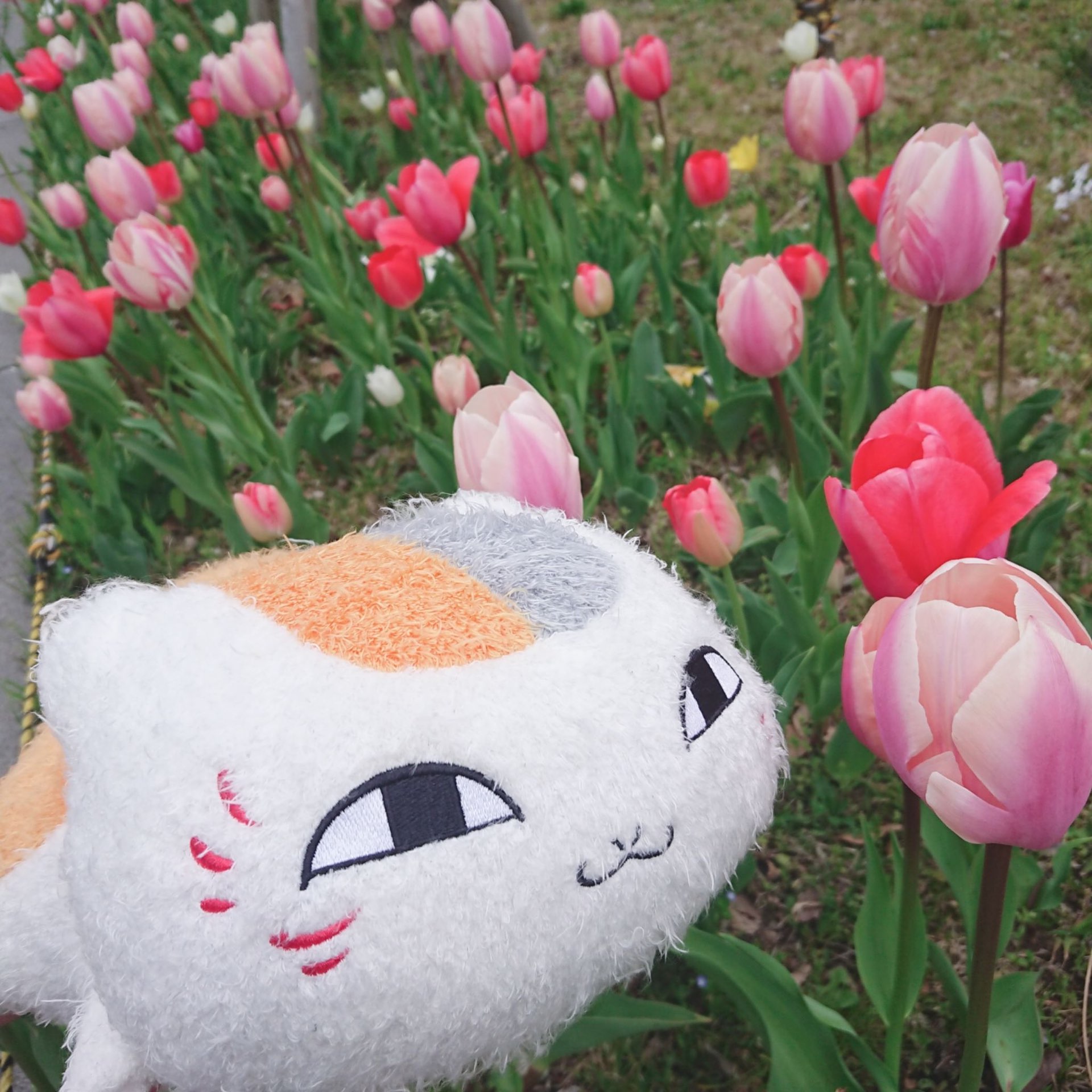 ゆうさんのプロフィール画像