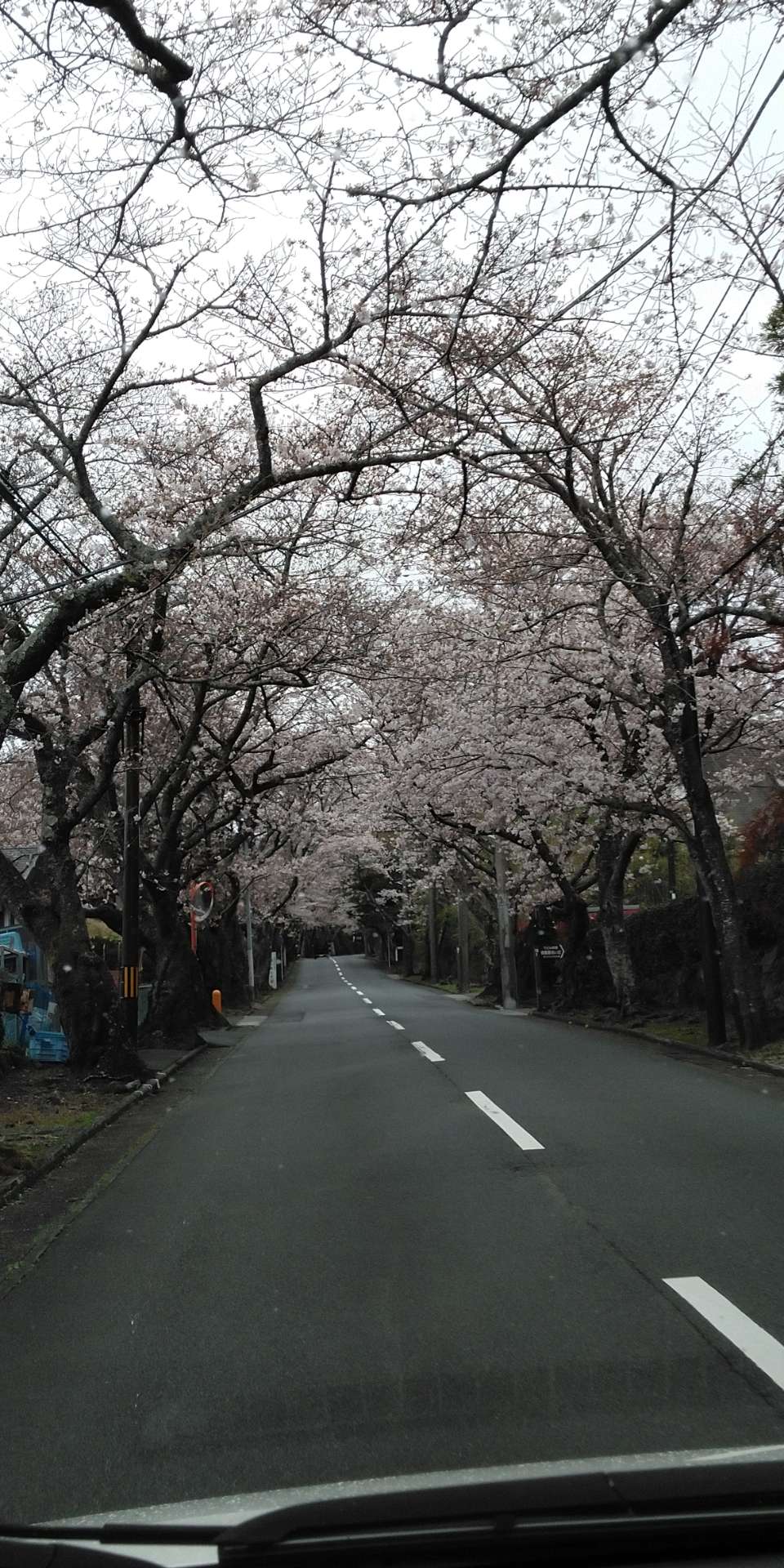 Rieechanさんのプロフィール画像