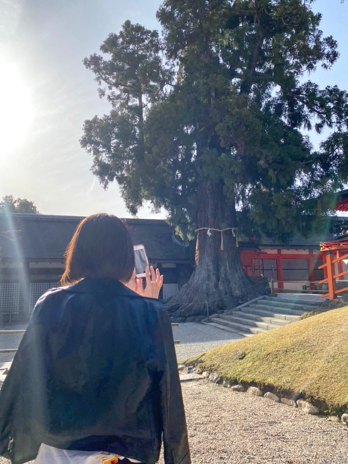 mackyさんのプロフィール画像