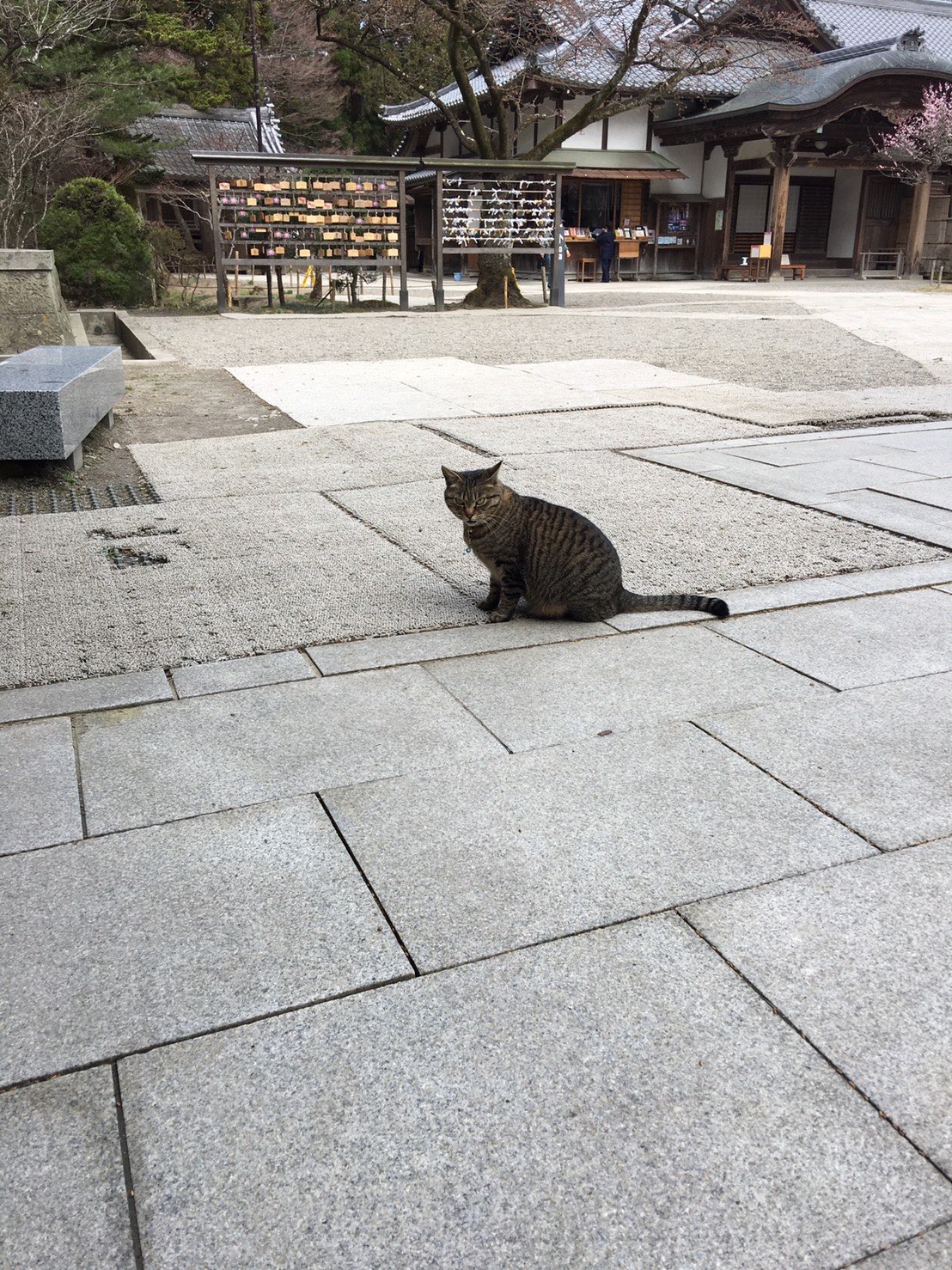 ももさんのプロフィール画像