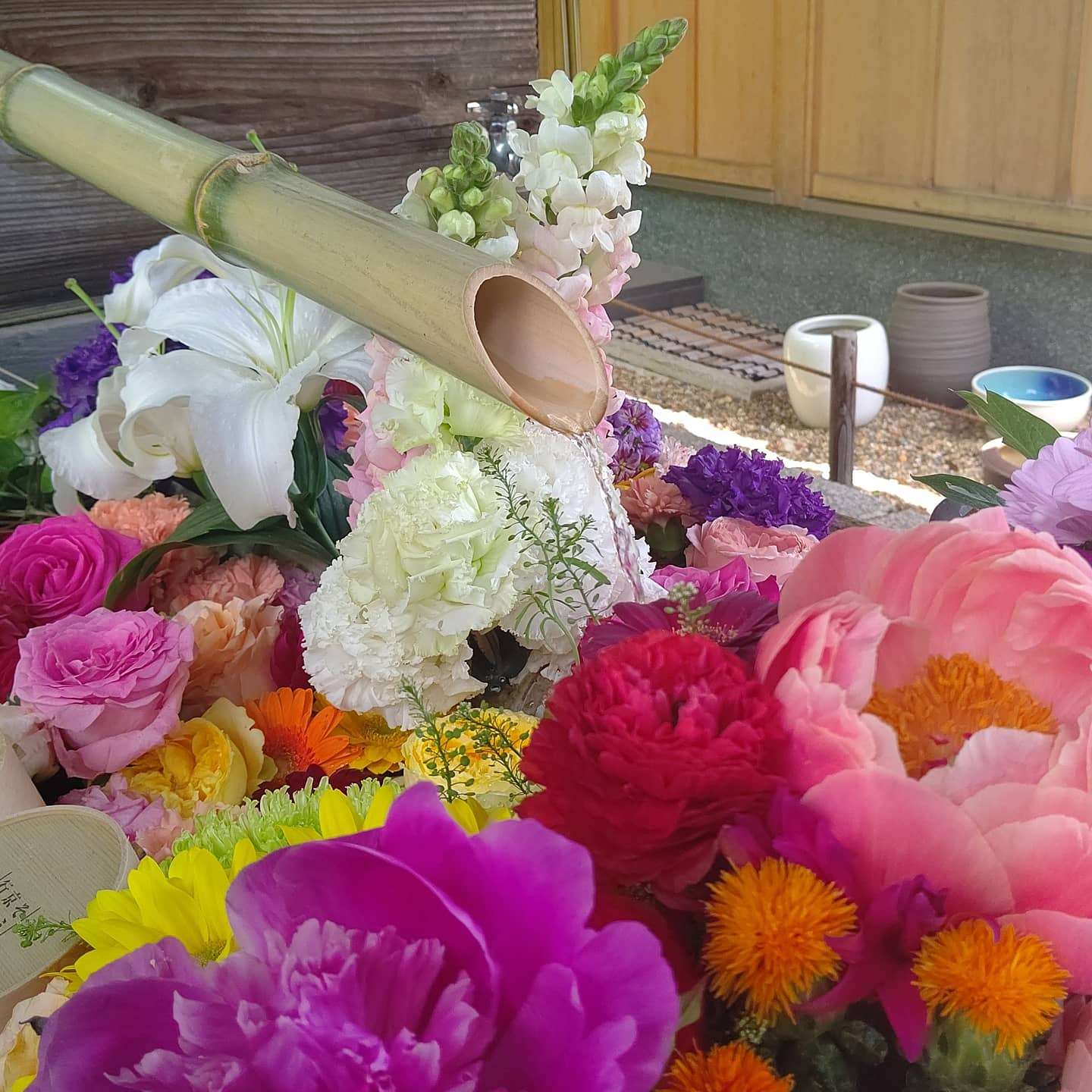 ひまさんのプロフィール画像