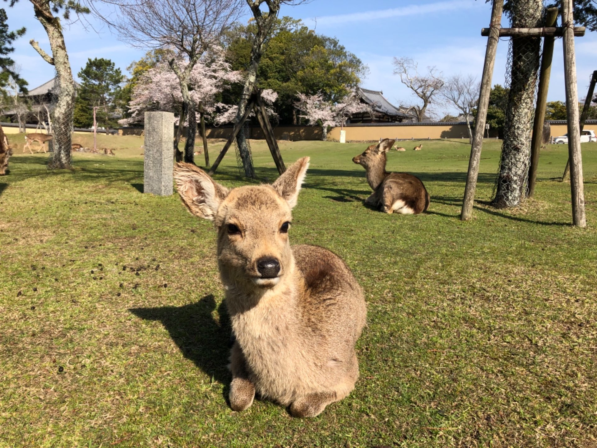 おしょうさんのプロフィール画像